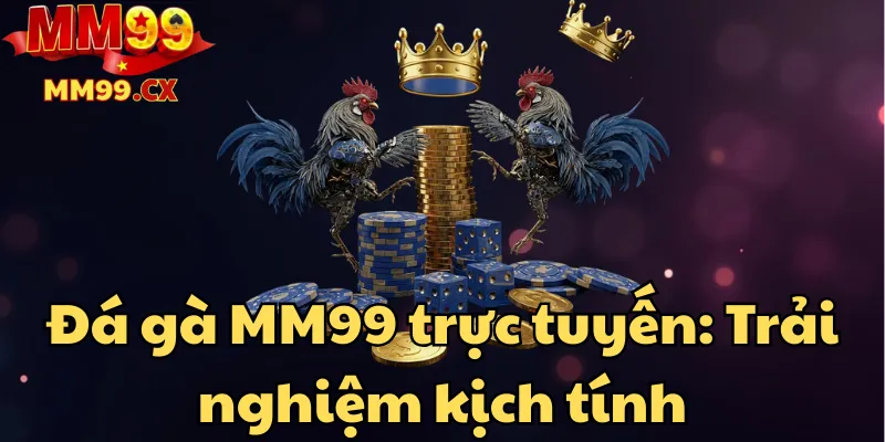 Đá gà MM99 trực tuyến: Trải nghiệm kịch tính, thắng dễ dàng 1 da-ga-mm99-truc-tuyen-trai-nghiem-kich-tinh