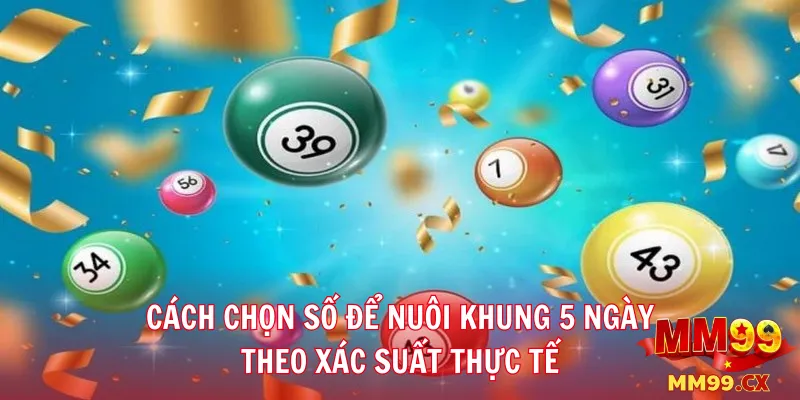 Cách chọn số để nuôi khung 5 ngày theo xác suất thực tế